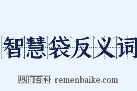 智慧袋反义词是什么意思的图片